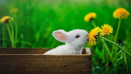 九游9游-皇马官宣新援加盟，姆巴佩转会大戏尘埃落定，曝皇马放弃今夏引进姆巴佩