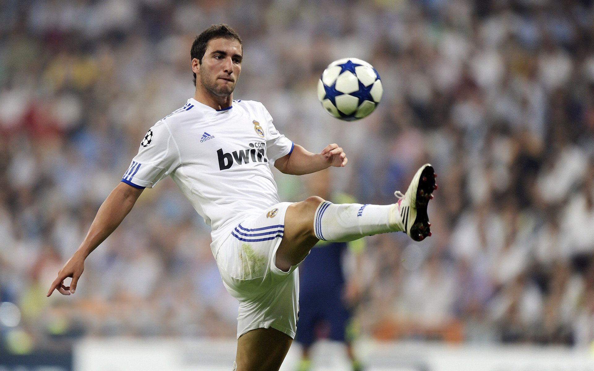 接力分段表现德国展现稳定实力,接力技术